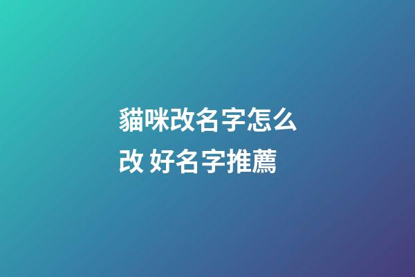 貓咪改名字怎么改 好名字推薦